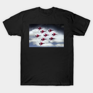 9 Ship Gnats T-Shirt